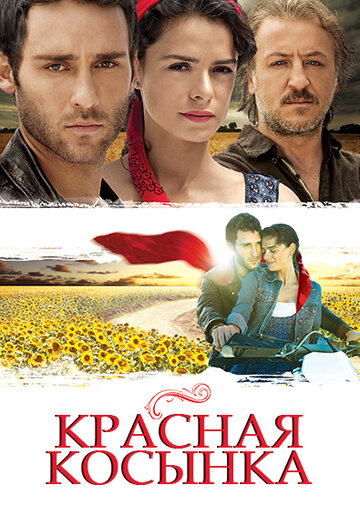 Смотреть Красная косынка (2011) онлайн в Хдрезка качестве 720p