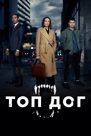 Смотреть Топ дог (2020) онлайн в Хдрезка качестве 720p